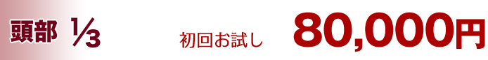 頭部 3分の1 86,400円