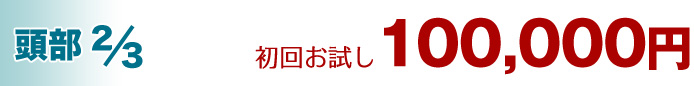 頭部 3分の2 108,000円