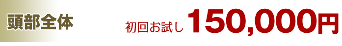 頭部 全体 120,000円